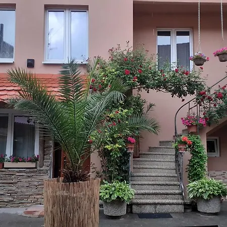 Maison d'hôtes U Smidu Namesti